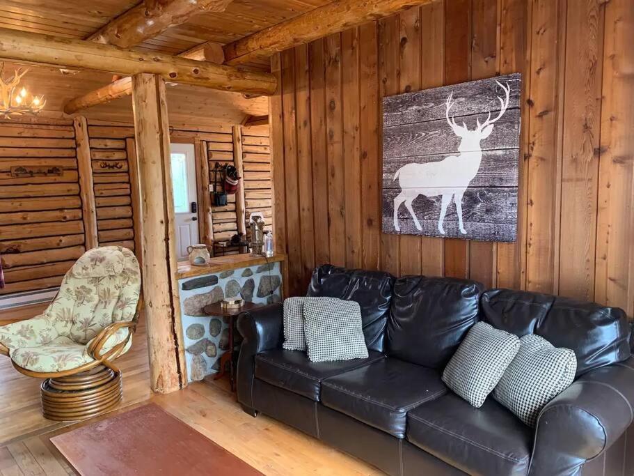 Cozy Log Cottage La Minerve エクステリア 写真