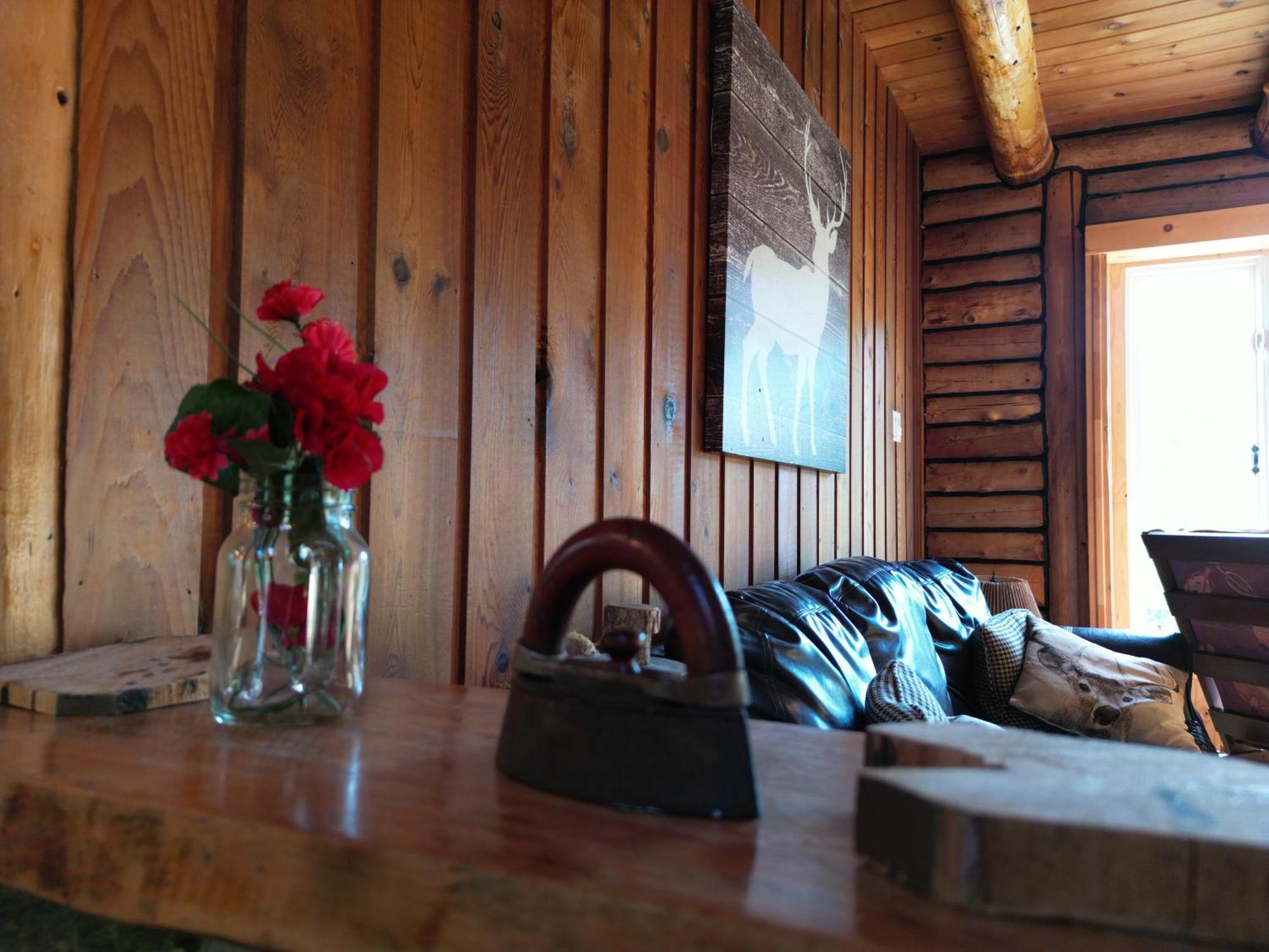 Cozy Log Cottage La Minerve エクステリア 写真